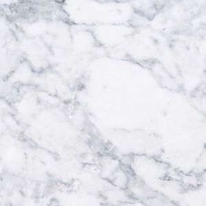 Meet your Posher, Charlotte